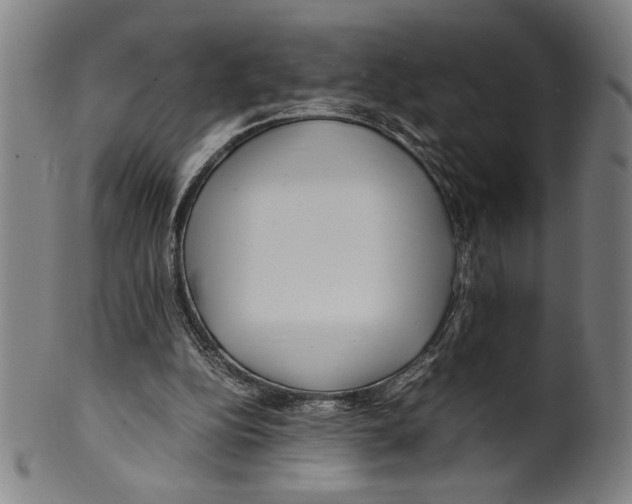 X0000099430152200806061028