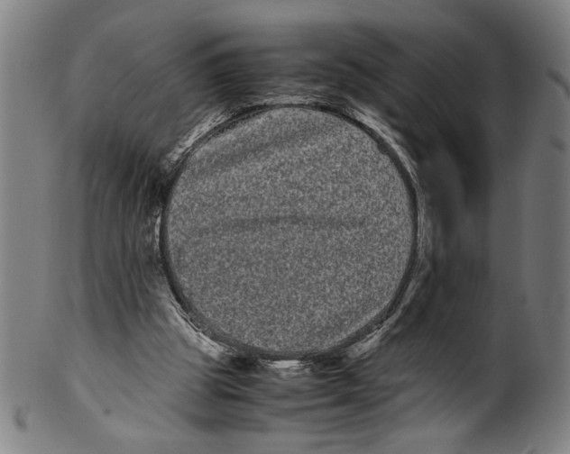 X0000099430153200806061028