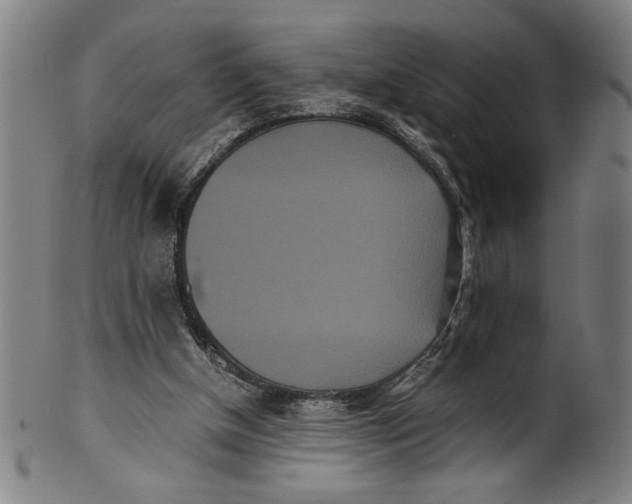 X0000099430154200806061028