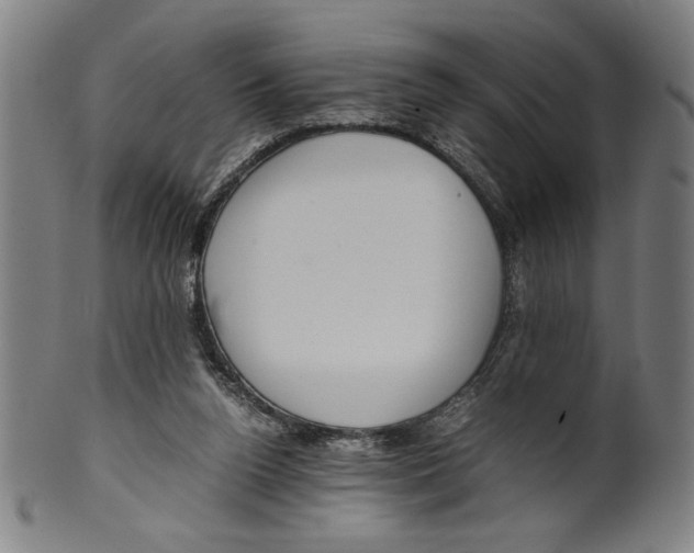 X0000099430160200806061028