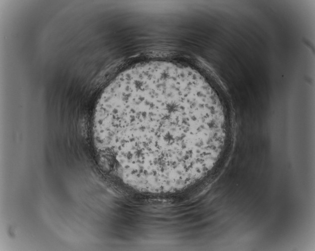 X0000099430161200806061028