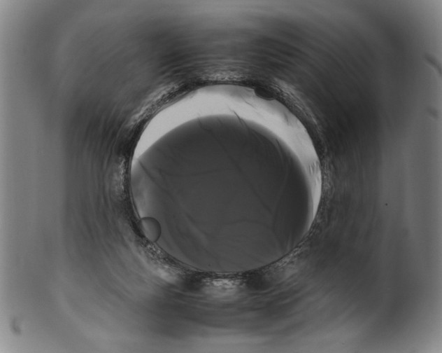 X0000099430163200806061028