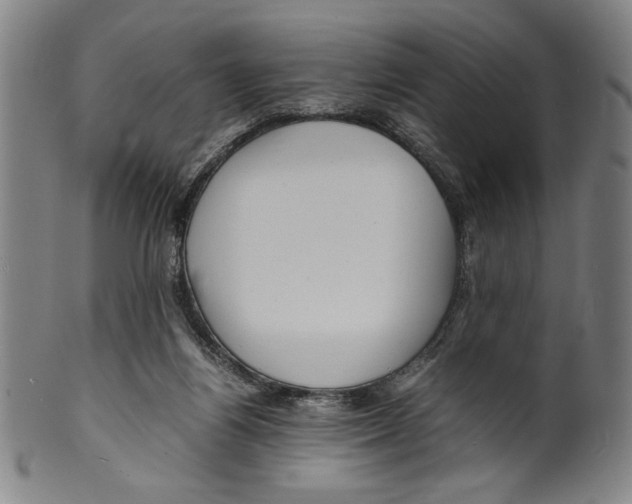 X0000099430164200806061028