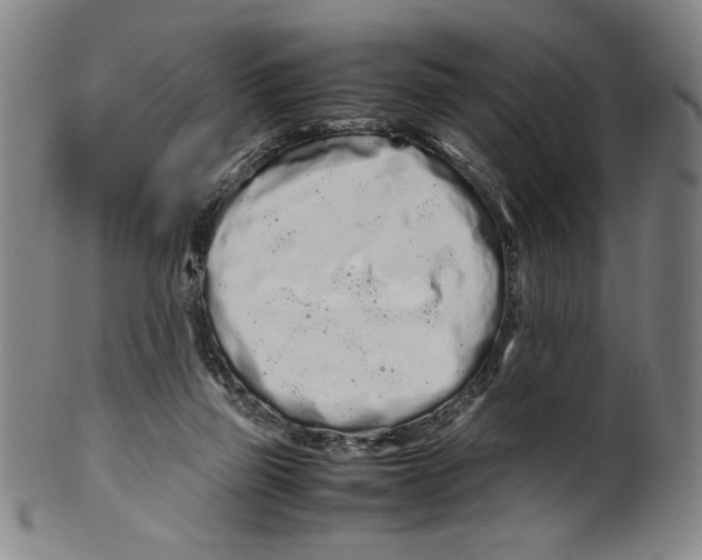 X0000099430165200806061028