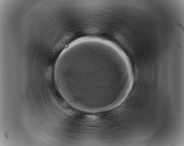 X0000099430167200806061028