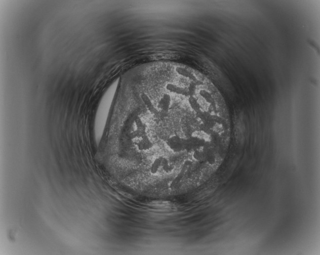 X0000099430169200806061028