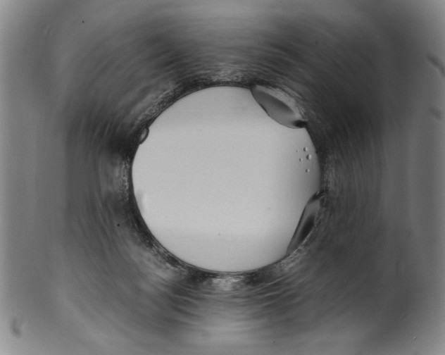 X0000099430172200806061028