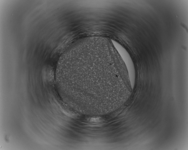 X0000099430173200806061028