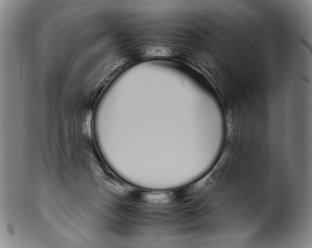 X0000099430175200806061028