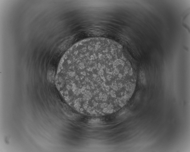 X0000099430177200806061028