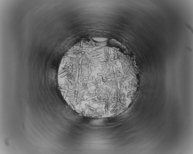 X0000099430178200806061028