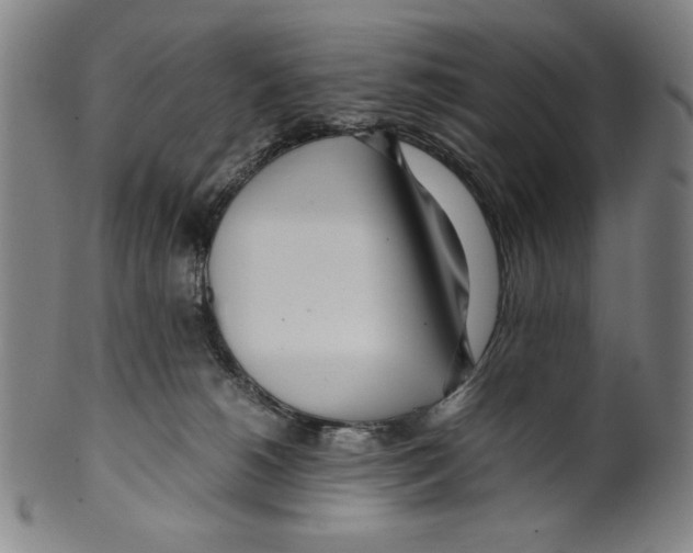 X0000099430180200806061028