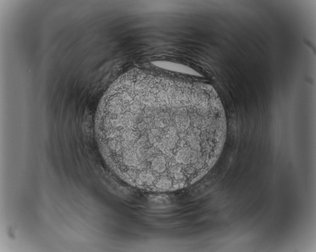 X0000099430181200806061028