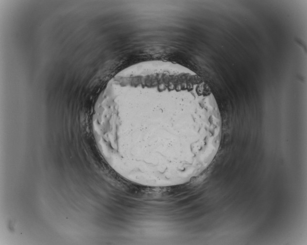 X0000099430182200806061028