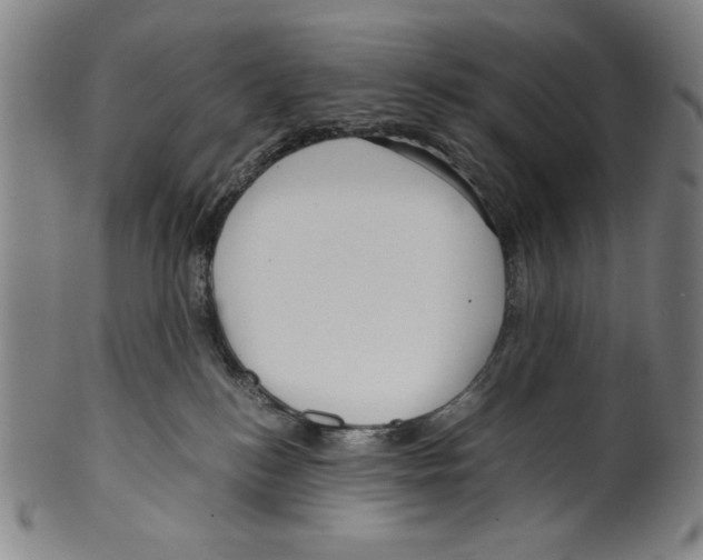 X0000099430184200806061028