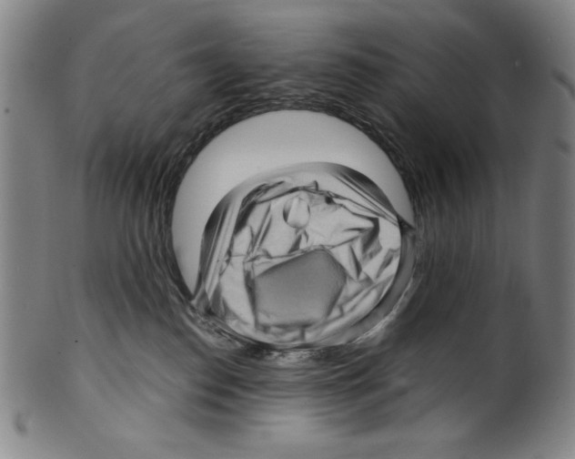 X0000099430186200806061028