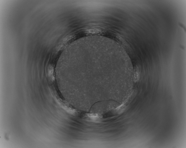 X0000099430187200806061028