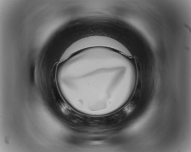 X0000099430189200806061028