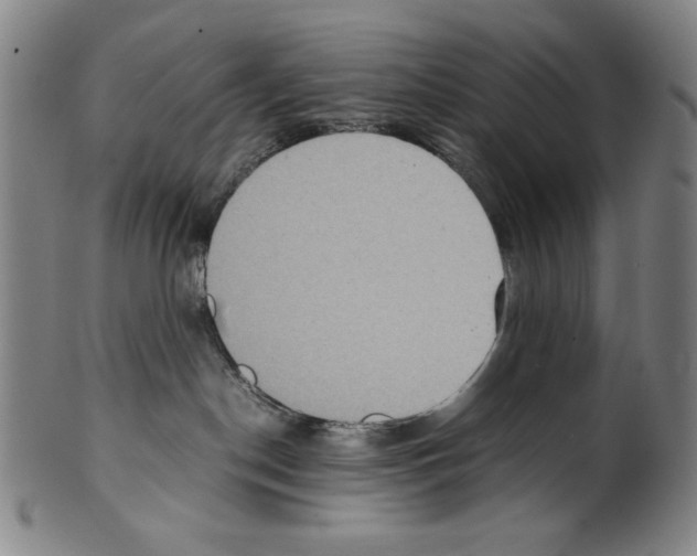 X0000099430190200806061028