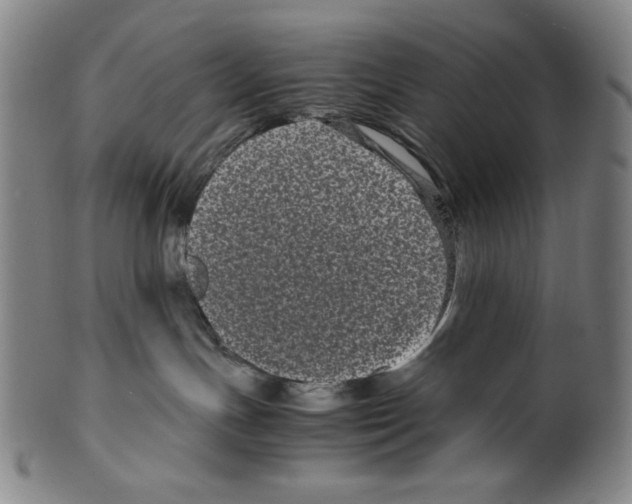 X0000099430191200806061028