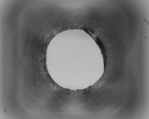 X0000099430192200806061029