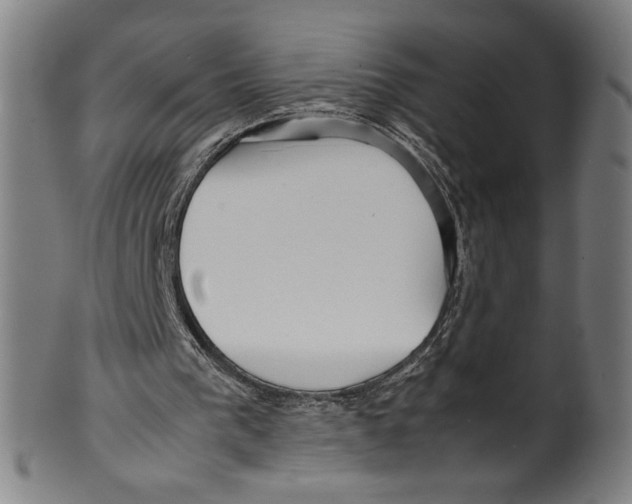 X0000099430193200806061028