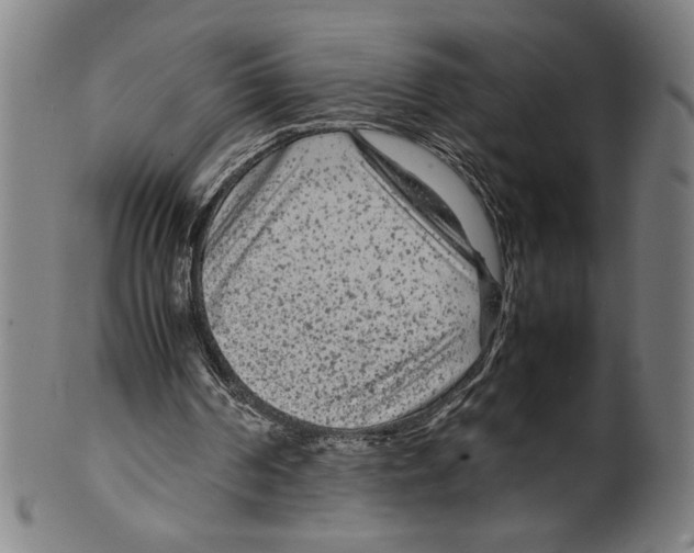 X0000099430194200806061028