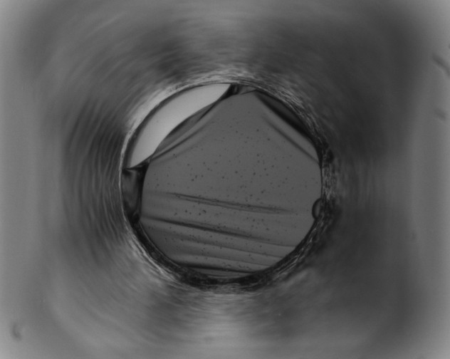 X0000099430196200806061028