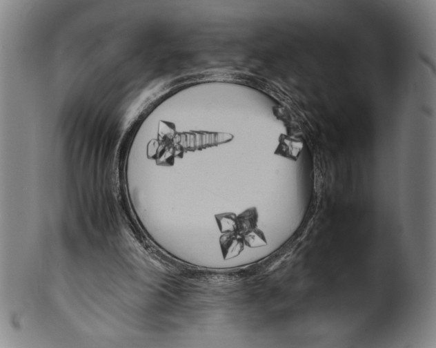 X0000099430198200806061028