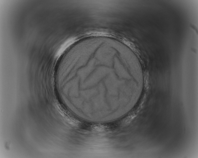 X0000099430199200806061028