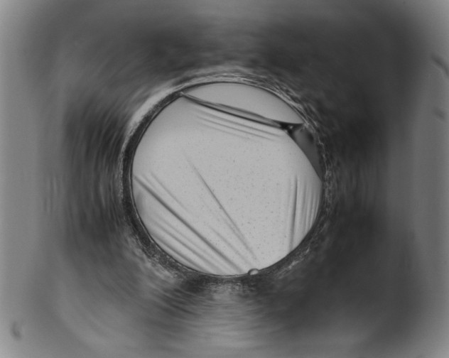 X0000099430200200806061028