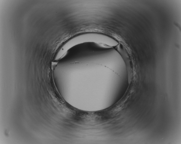 X0000099430201200806061028