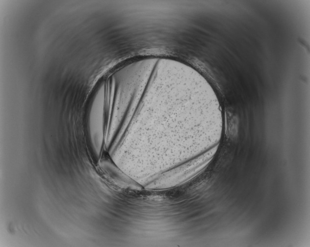 X0000099430204200806061027