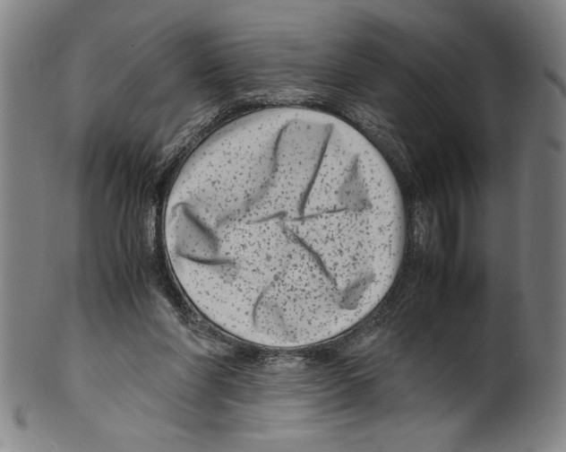 X0000099430206200806061027