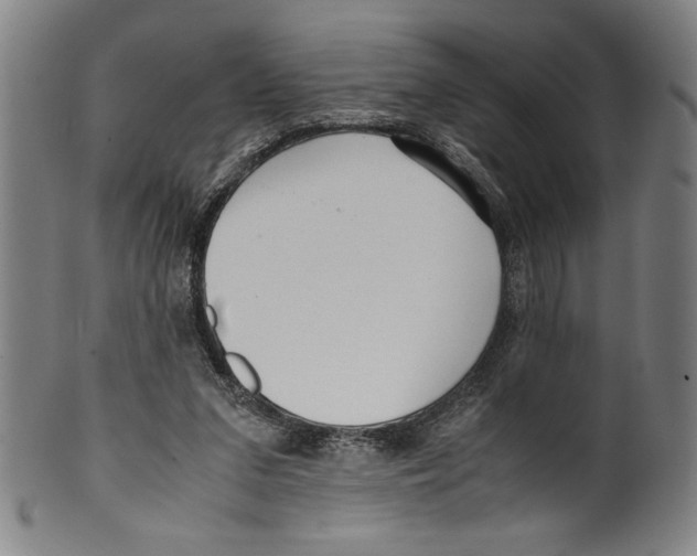 X0000099430207200806061027