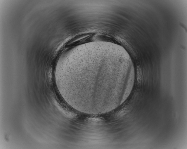 X0000099430208200806061027