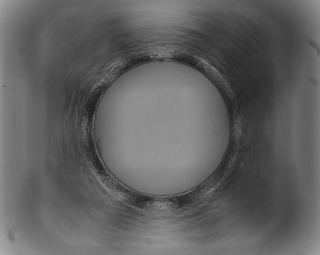 X0000099430209200806061027