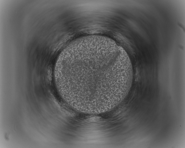 X0000099430210200806061027