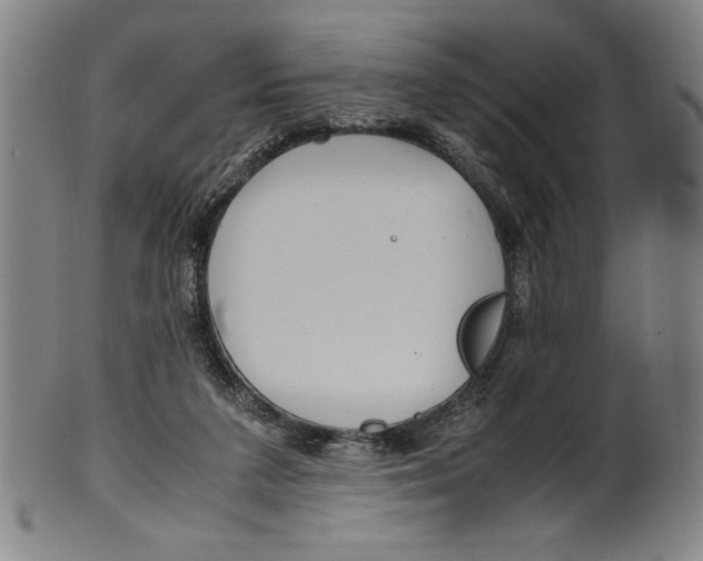 X0000099430211200806061027