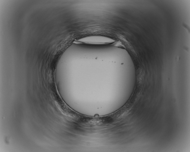 X0000099430213200806061027