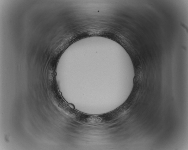 X0000099430215200806061027