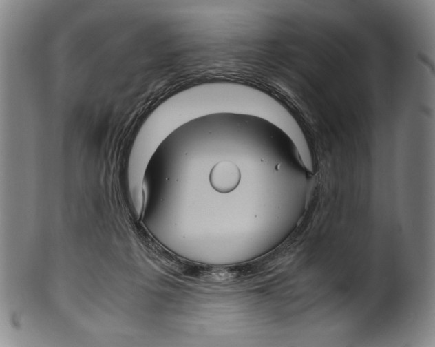 X0000099430217200806061027