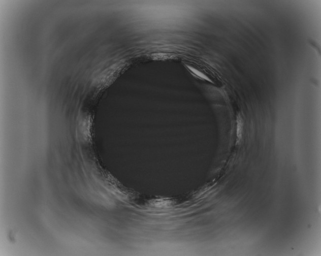 X0000099430219200806061027