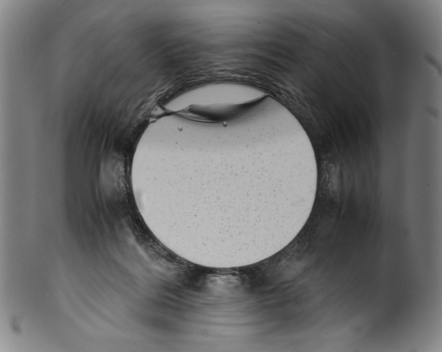 X0000099430220200806061027