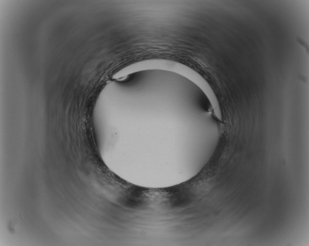 X0000099430221200806061027