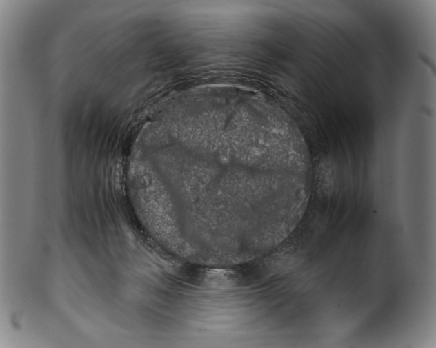 X0000099430222200806061027