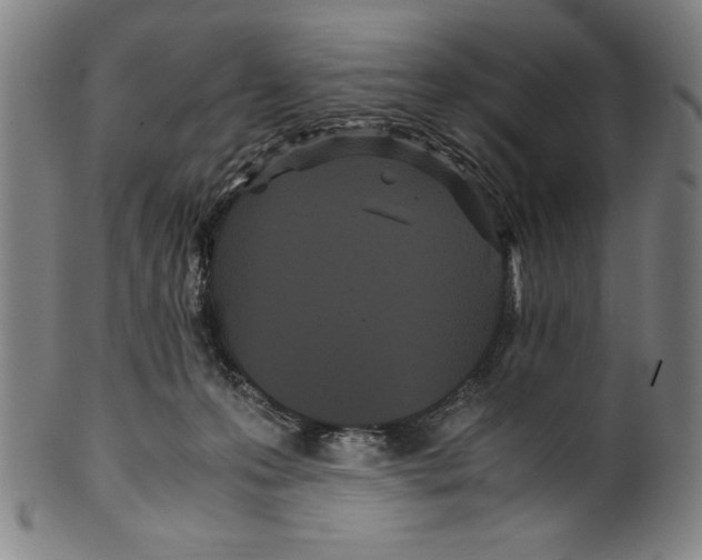 X0000099430223200806061027