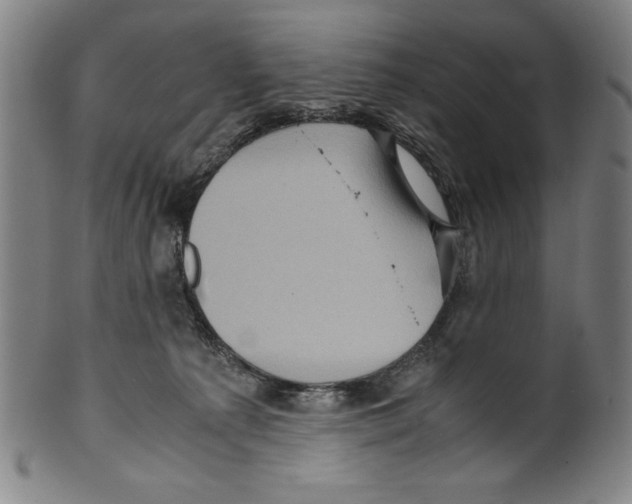 X0000099430225200806061027