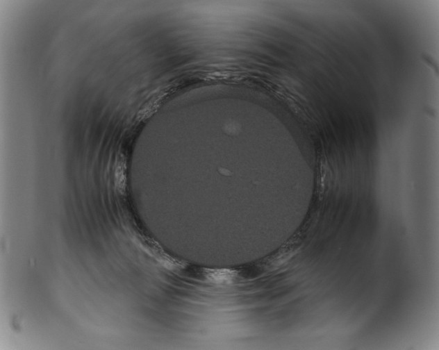 X0000099430226200806061027