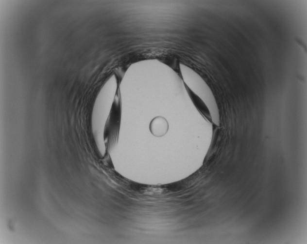 X0000099430227200806061027